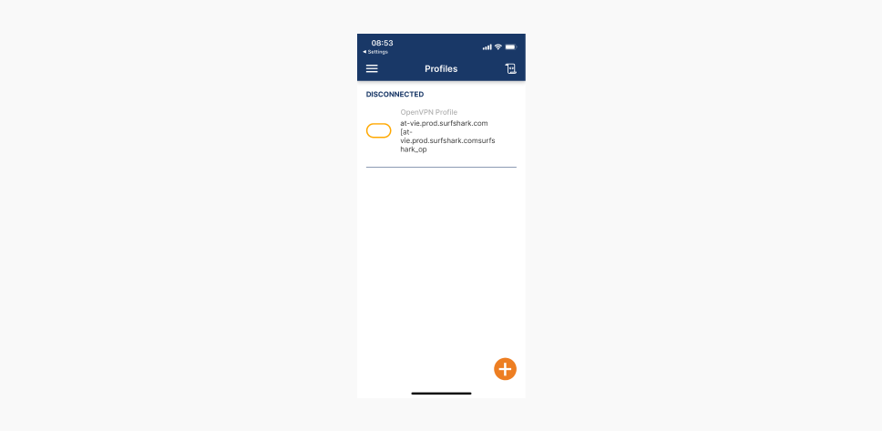 A screenshot of the OpenVPN app on iPhone and showing the Profiles tab with a Disconnected OpenVPN profile